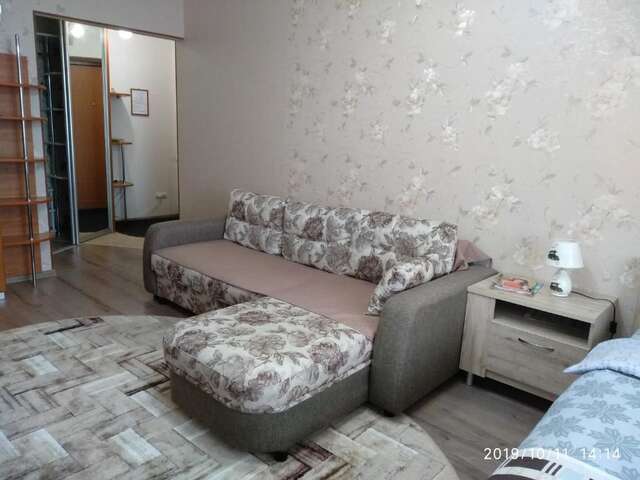 Апартаменты Apartment in Borovlyany Боровляны-28